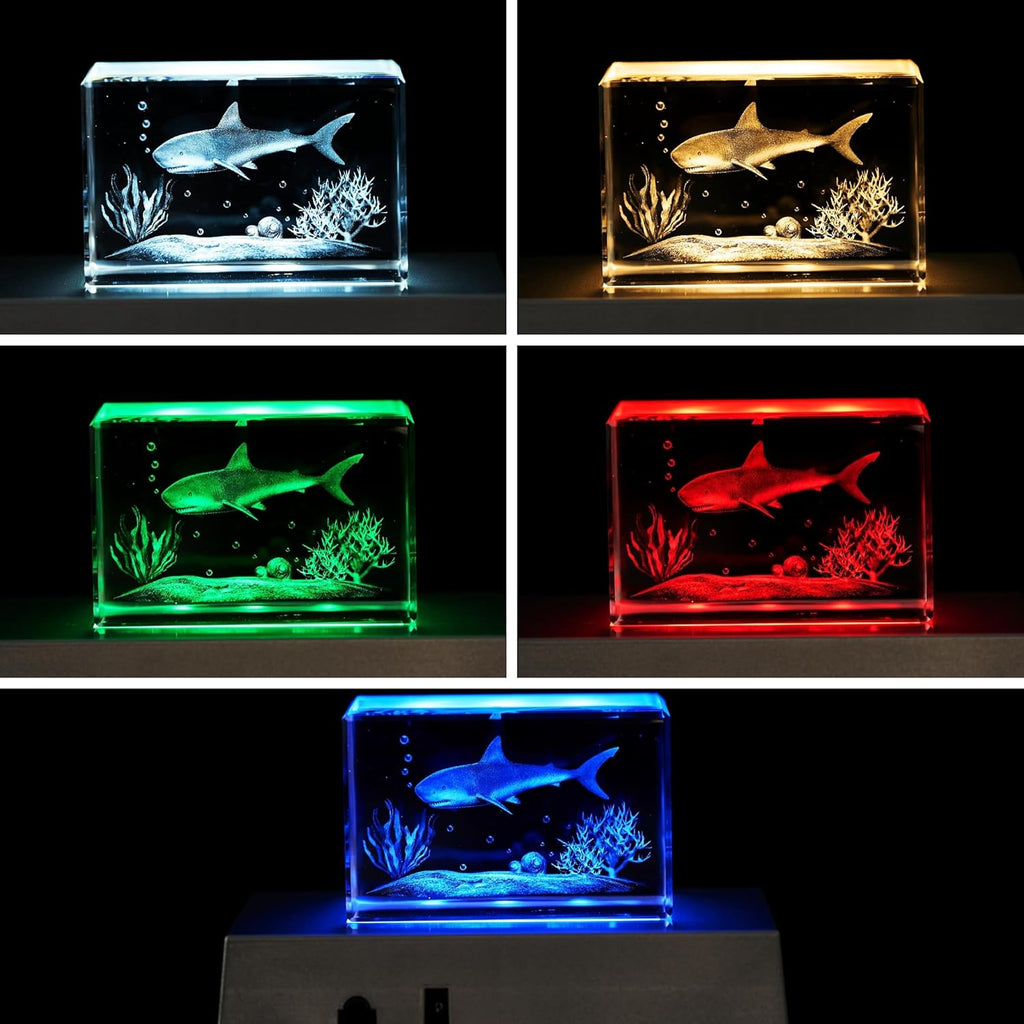 3D Crystal + LED Light Base Bundle — Save $10